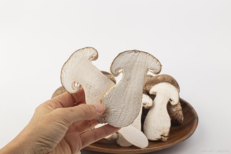 松茸(高原珍稀菌类,营养丰富),青稞制品(如青稞饼,青稞酒,富含膳食